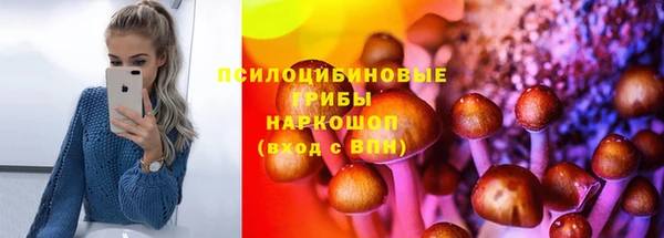 метадон Нея