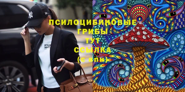 соль ск Надым
