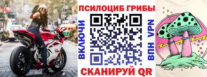 Купить закладки  Рузаевка  Псилоцибиновые грибы мухоморы 